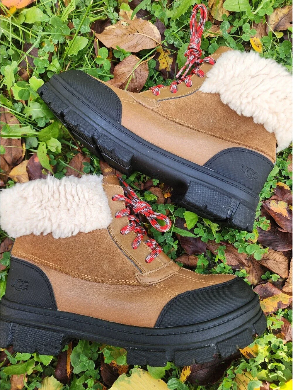Size 6 - UGG Ashton Addie Lace-Up Ankle Boot